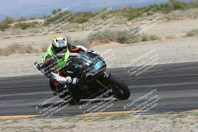 media/Mar-10-2024-SoCal Trackdays (Sun) [[6228d7c590]]/12-Turn 14 Inside (145pm)/